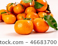 新鮮砂糖橘 46683700