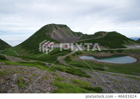 Norikura Tatami 46683824