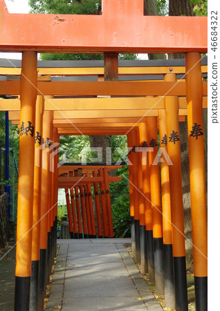 花園稻荷神社(上野) 花園稻荷神社(上野) 46684322