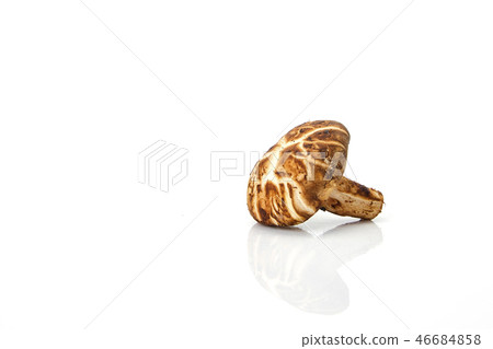 Shiitake mushroom on the White background Shiitake mushroom on the White background 46684858