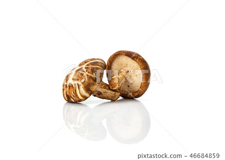 Shiitake mushroom on the White background 46684859