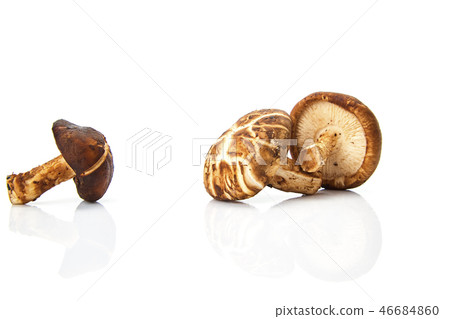 Shiitake mushroom on the White background Shiitake mushroom on the White background 46684860