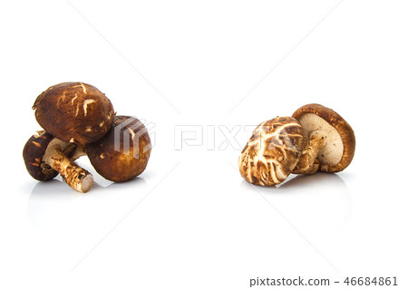 Shiitake mushroom on the White background 46684861