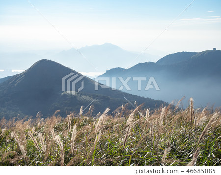 grass hill in autumn 46685085