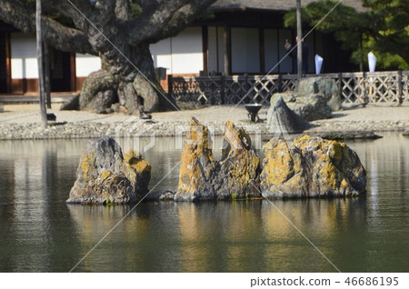 南湖的“Sengi”(Kurigayashi Park / Takamatsu City,Kagawa Prefecture) 南湖的“Sengi”(Kurigayashi Park / Takamatsu City,Kagawa Prefecture) 46686195