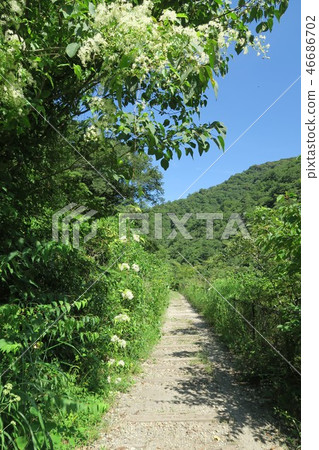 JR福知山線廢除線跡 JR福知山線廢除線跡 46686702