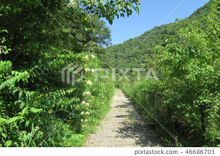JR福知山線廢除線跡 JR福知山線廢除線跡 46686703