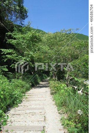 JR福知山線廢除線跡 JR福知山線廢除線跡 46686704
