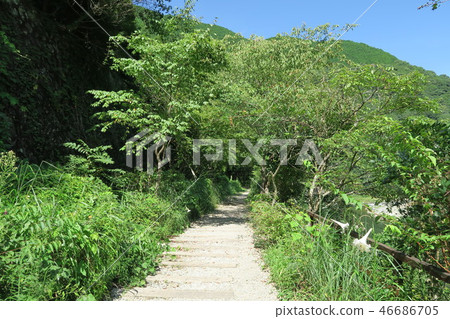 JR福知山線廢除線跡 JR福知山線廢除線跡 46686705