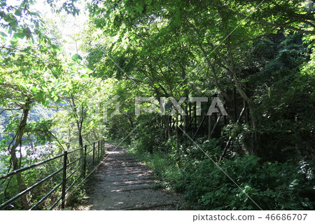 JR福知山線廢除線跡 46686707