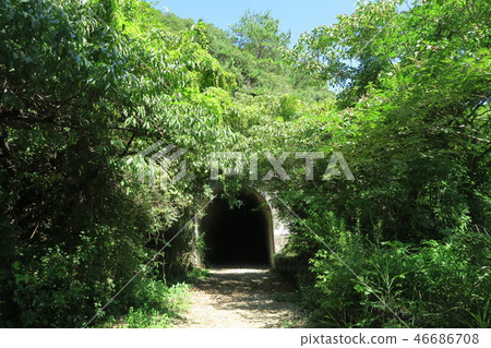 JR福知山線廢除線跡 JR福知山線廢除線跡 46686708