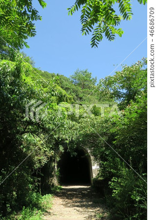 JR福知山線廢除線跡 JR福知山線廢除線跡 46686709