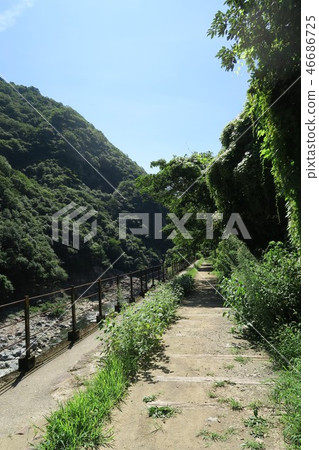 JR福知山線廢除線跡 JR福知山線廢除線跡 46686725