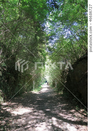 JR福知山線廢除線跡 46686727