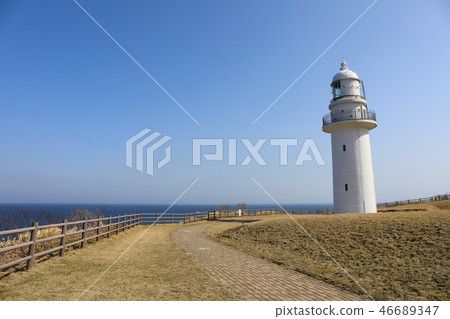 Hayamisaki燈塔 46689347