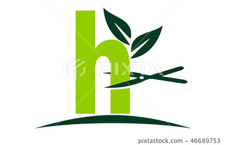 Letter H Lawn 46689753