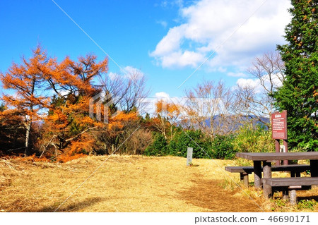 箱根山的Konosu和黃葉的山頂 箱根山的Konosu和黃葉的山頂 46690171