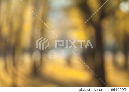 Autumn forest in contre-jour. 46690695