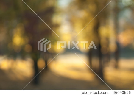 Autumn forest in contre-jour. Autumn forest in contre-jour. 46690696