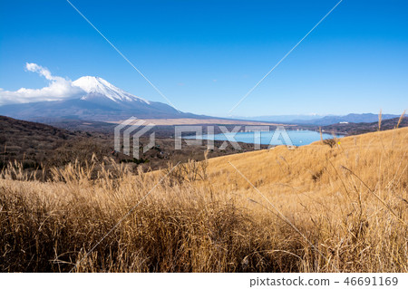 富士山,山中湖和Suki 富士山,山中湖和Suki 46691169