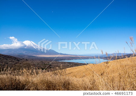 富士山,山中湖和Suki 富士山,山中湖和Suki 46691173