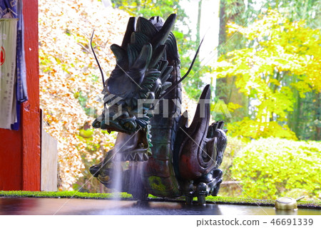 特米祖亞龍 46691339