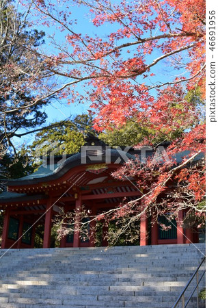 紅色(阿卡)和阿卡(阿卡) 紅色(阿卡)和阿卡(阿卡) 46691956
