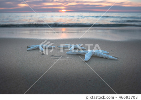 starfishes on the beach in sunset 46693708