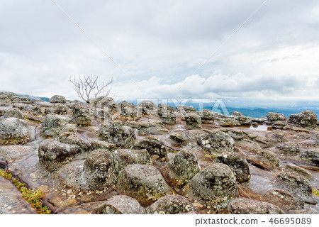 Lan Hin Pum 46695089