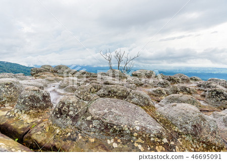 Lan Hin Pum 46695091