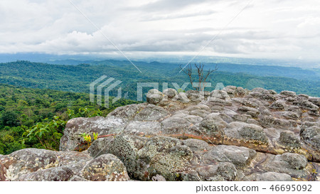 Lan Hin Pum 46695092