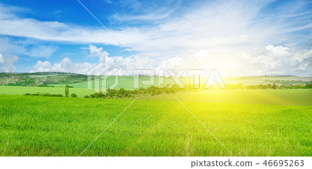Green field and blue sky with light clouds. Green field and blue sky with light clouds. 46695263