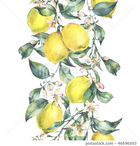 Watercolor vintage vertical seamless border of lemon fruit 46696893