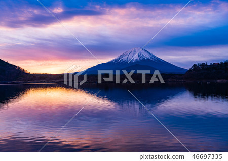 (Yamanashi Prefecture) Dawn of Lake Shoji, Mt. Fuji (Yamanashi Prefecture) Dawn of Lake Shoji, Mt. Fuji 46697335