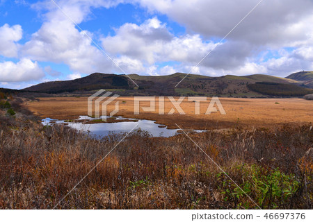 Yajimagahara high-rise wetland 46697376