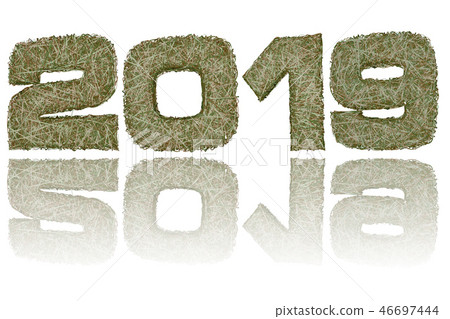 2019 digits composed of military camouflage 46697444