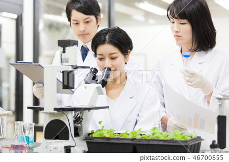 研究實驗室 開發實驗室 臨床測試 生物技術 研究實驗室 開發實驗室 臨床測試 生物技術 46700855