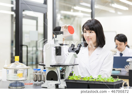 研究實驗室 開發實驗室 臨床測試 生物技術 研究實驗室 開發實驗室 臨床測試 生物技術 46700872