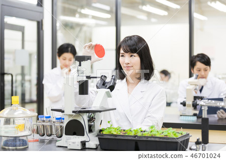 研究實驗室 開發實驗室 臨床測試 生物技術 研究實驗室 開發實驗室 臨床測試 生物技術 46701024