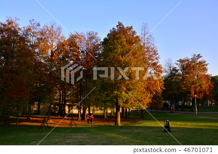 Great Lakes Park Great Lakes Park 46701071