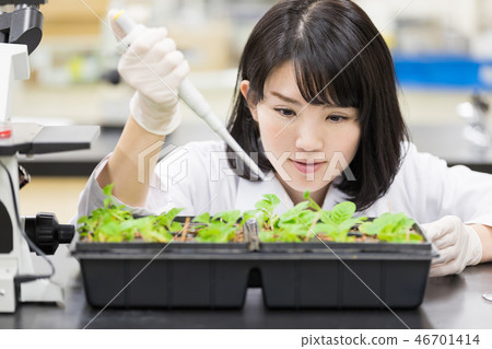 研究實驗室 開發實驗室 臨床測試 生物技術 研究實驗室 開發實驗室 臨床測試 生物技術 46701414
