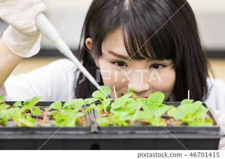 研究實驗室 開發實驗室 臨床測試 生物技術 研究實驗室 開發實驗室 臨床測試 生物技術 46701415