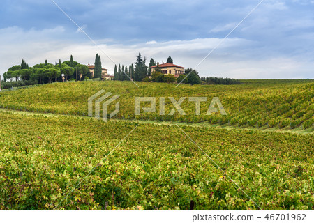 Landscape in Chianti region in province of Siena 46701962