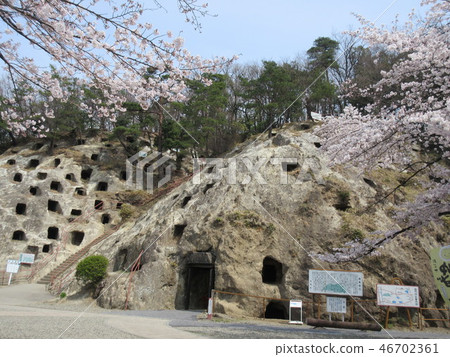 Sakura和Yoshimi Hyakko 46702361