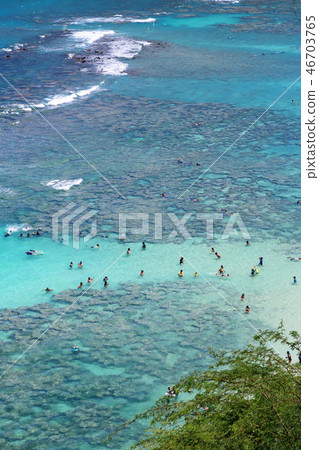 夏威夷·哈瑙瑪灣 夏威夷·哈瑙瑪灣 46703765