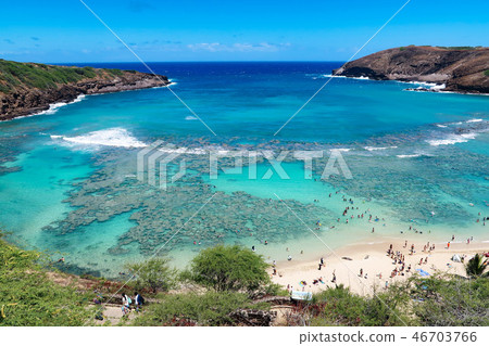 夏威夷·哈瑙瑪灣 46703766