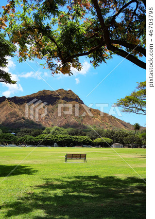 夏威夷卡皮歐拉尼公園 夏威夷卡皮歐拉尼公園 46703798