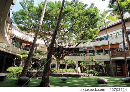 夏威夷國際市場 46703824