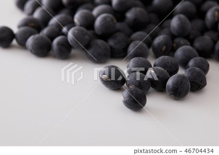 來自Tamba Tanzan的高檔黑豆 46704434