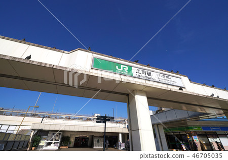 Tokyo city view of Japan I look at Ueno Station (Panda Hashiguchi) Tokyo city view of Japan I look at Ueno Station (Panda Hashiguchi) 46705035